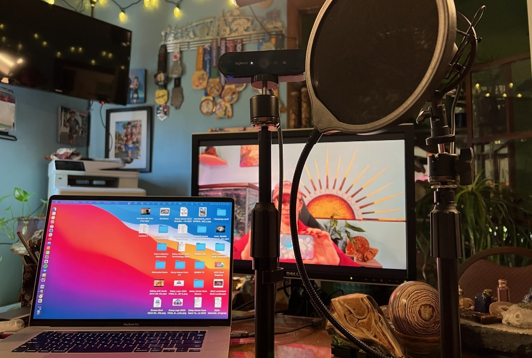 Daisy's Available for Consultation Online or In Person