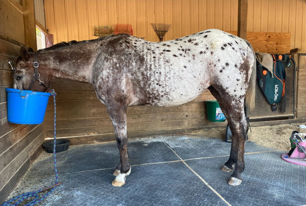 on site rehabilitation