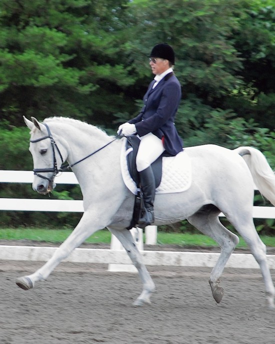 A dressage horse with glue-on composite shoes.