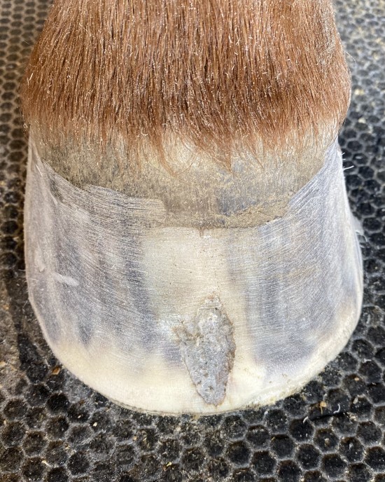 After addressing the four possible causes, crack grows out (5 months).