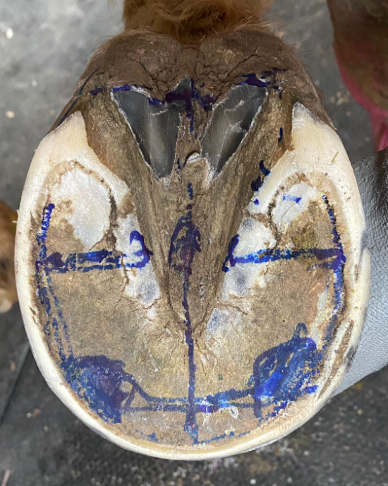 Prepping for maintenance.