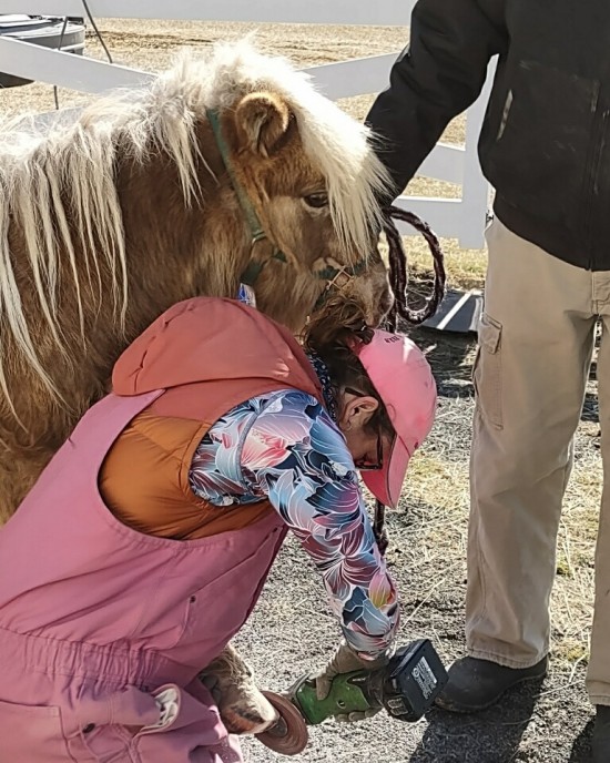 Maintaining a healthy hoof.