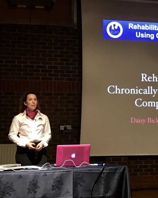 Presenting at Liphook Equine Hospital’s Farrier/Vet Educational event 2017