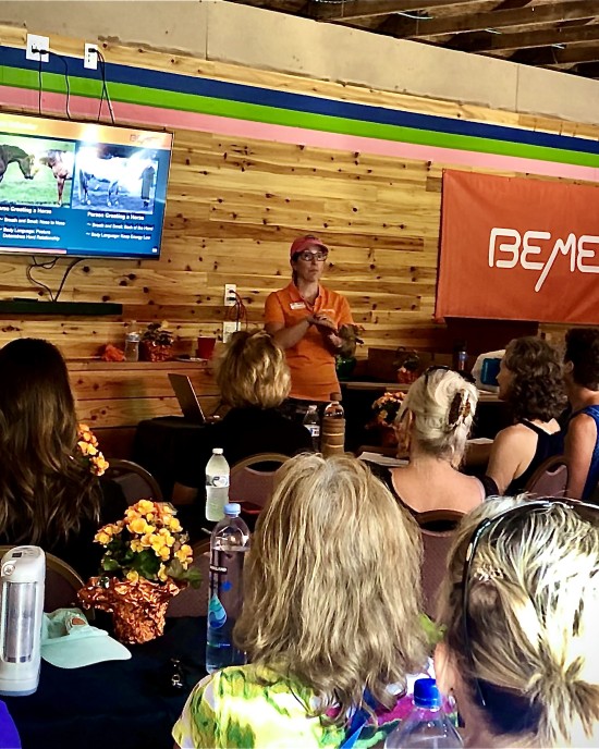 2022 BEMER Equine Educational Event